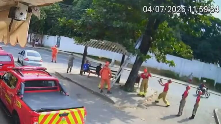 Gato Resgatado por Bombeiros Após Queda em Árvore em Guapimirim