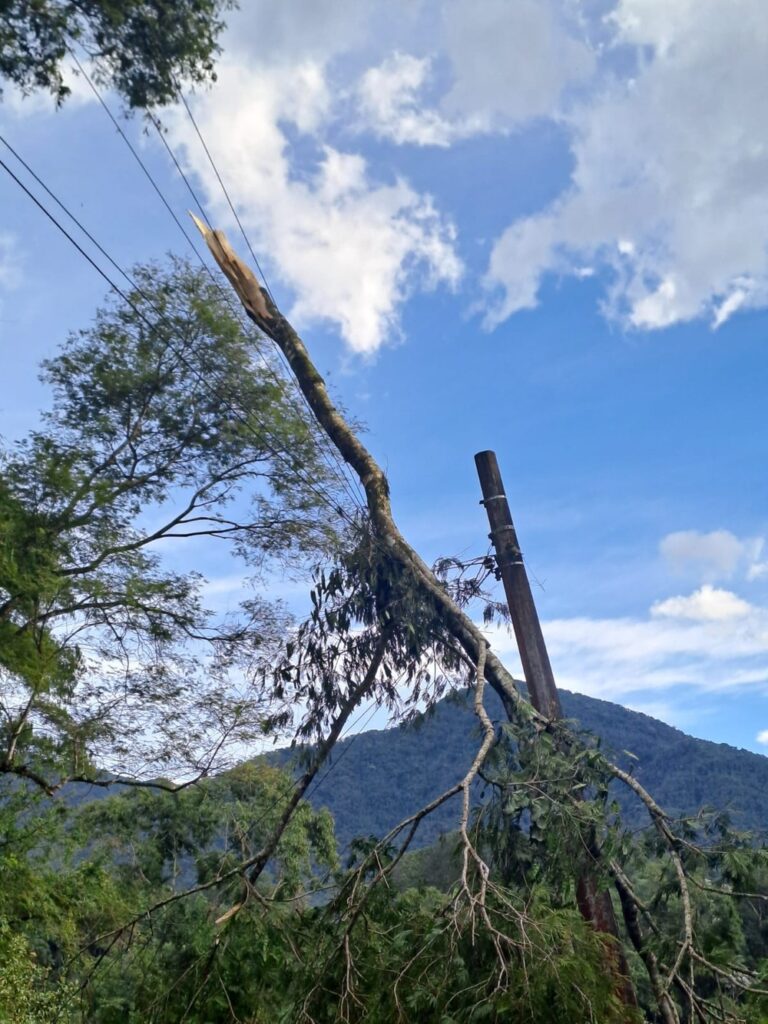 Ventania em Resende: rajadas de quase 66 km/h causam danos e queda de árvores