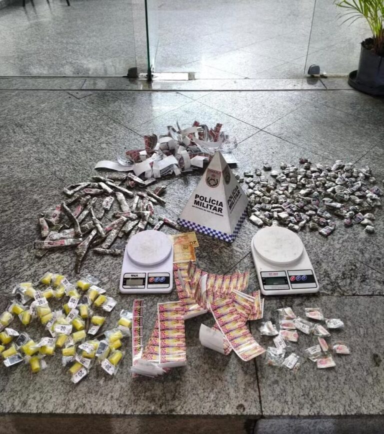 Polícia Militar apreende mais de 200 tabletes de maconha em Três Rios